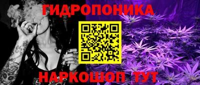 PSILOCYBIN Волжский