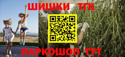 МДПВ Гатчина