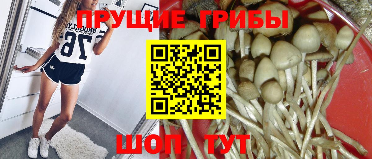 Псилоцибиновые грибы GOLDEN TEACHER Тюмень