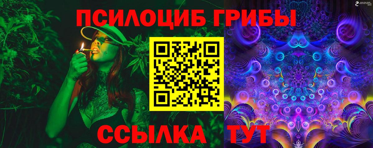 Псилоцибиновые грибы GOLDEN TEACHER Тюмень