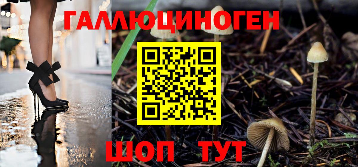 Тюмень  Галлюциногенные грибы GOLDEN TEACHER  купить   Вход с VPN 
